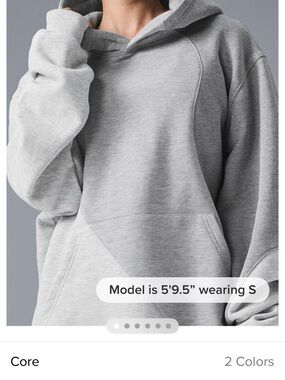 ALO Yoga Core Pullover Hoodie in Heather Gray